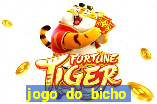 jogo do bicho tipos de apostas